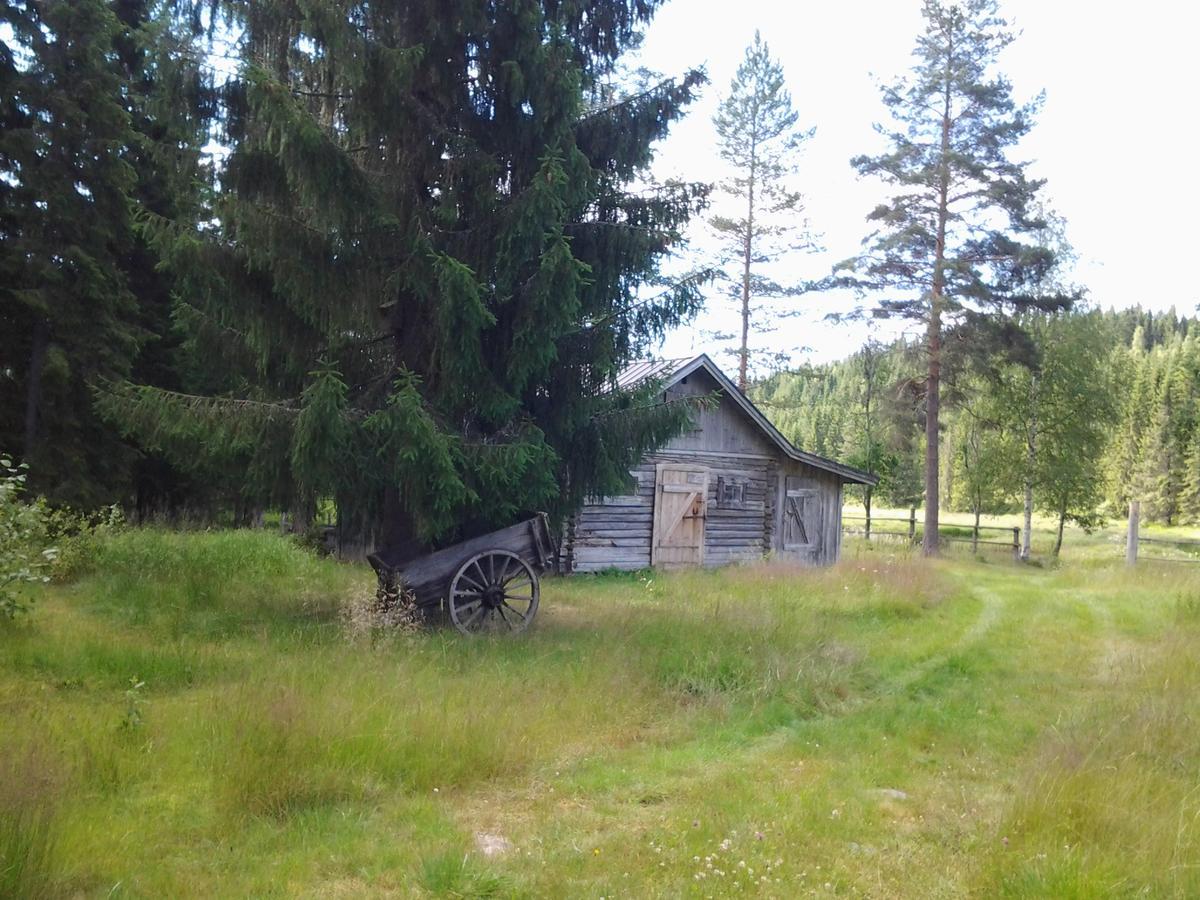 The Old Logging Camp Villa Yttermalung Bagian luar foto